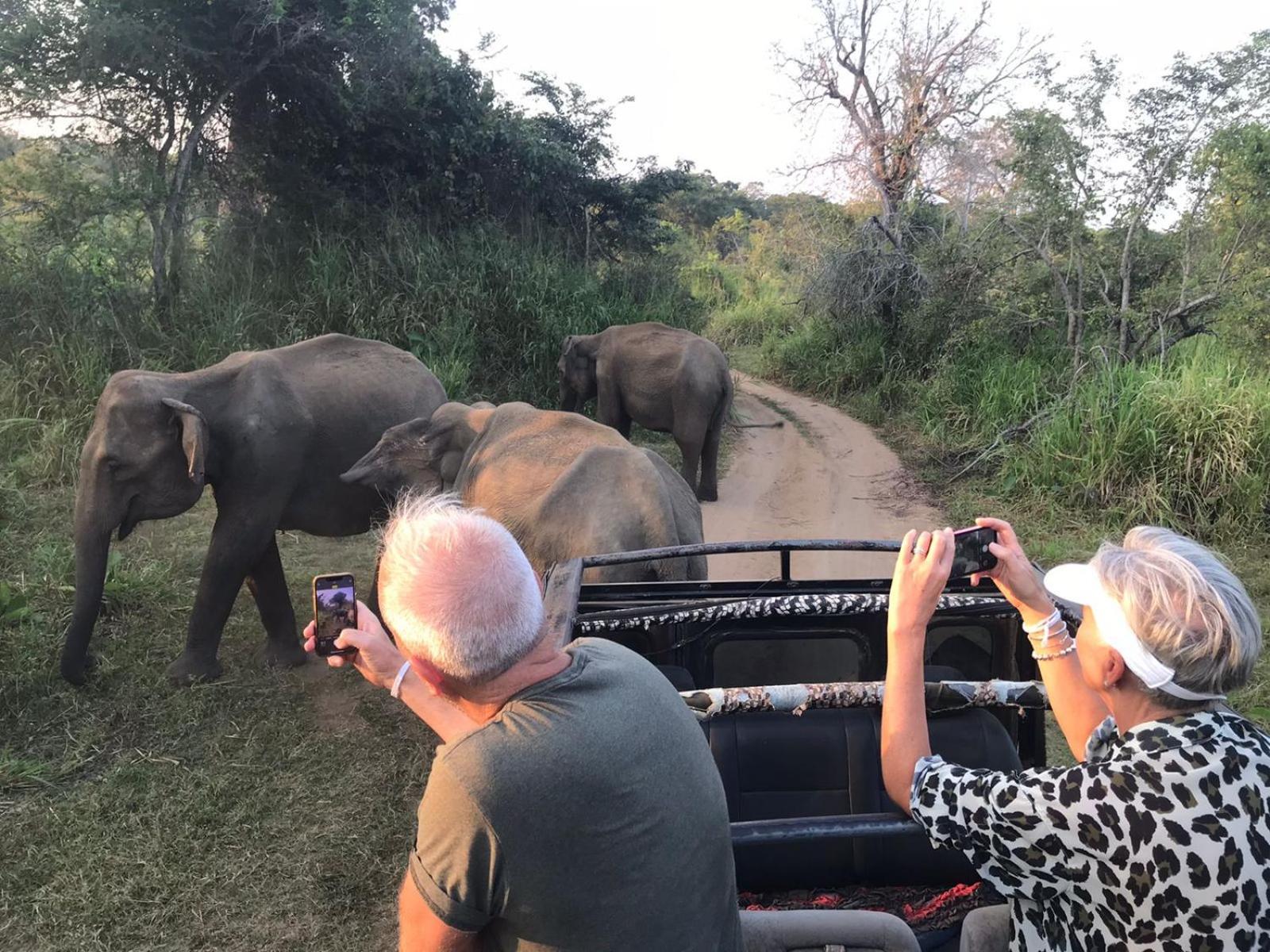 Namal Homestay Sigiriya Dış mekan fotoğraf